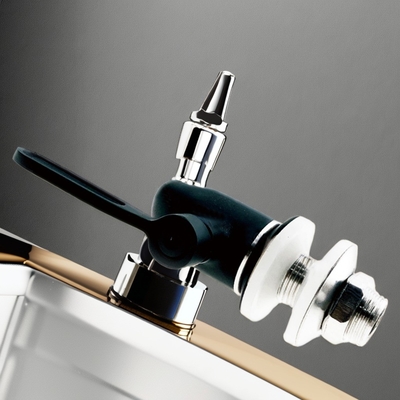 Faucon à main unique en acier inoxydable moderne finition polonaise pour homebrew et bar extérieur