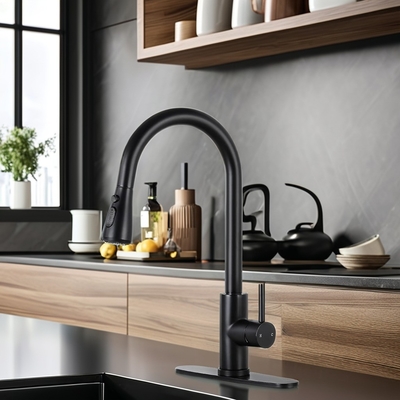 Ruban de cuisine noir mat avec pulvérisateur et design en laiton de style contemporain