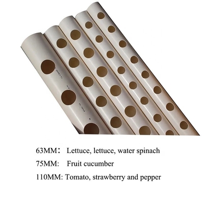 Système hydroponique de tuyaux en PVC ronde de 63 mm 75 mm de couleur blanche avec les besoins des acheteurs B2B à l'esprit